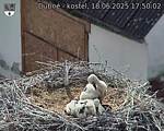 Capi_Dubne_20250618_175002.jpg