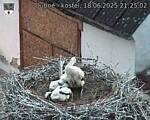 Capi_Dubne_20250618_212502.jpg