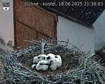 Capi_Dubne_20250618_213003.jpg