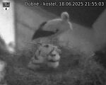 Capi_Dubne_20250618_215503.jpg