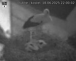 Capi_Dubne_20250618_220002.jpg