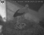 Capi_Dubne_20250618_220502.jpg