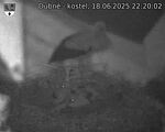 Capi_Dubne_20250618_222002.jpg