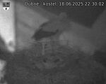 Capi_Dubne_20250618_223002.jpg