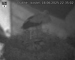 Capi_Dubne_20250618_223502.jpg
