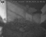 Capi_Dubne_20250618_224502.jpg