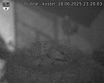 Capi_Dubne_20250618_232003.jpg