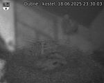 Capi_Dubne_20250618_233003.jpg