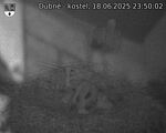 Capi_Dubne_20250618_235002.jpg