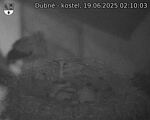 Capi_Dubne_20250619_021003.jpg