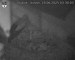 Capi_Dubne_20250619_033003.jpg