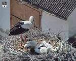 Capi_Dubne_20250619_155503.jpg