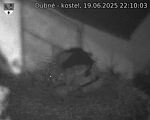 Capi_Dubne_20250619_221003.jpg