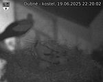 Capi_Dubne_20250619_222002.jpg