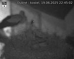 Capi_Dubne_20250619_224502.jpg