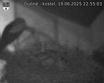 Capi_Dubne_20250619_225503.jpg