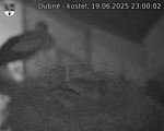 Capi_Dubne_20250619_230002.jpg