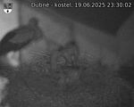 Capi_Dubne_20250619_233002.jpg