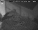 Capi_Dubne_20250619_234503.jpg