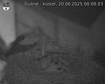 Capi_Dubne_20250620_000003.jpg