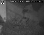 Capi_Dubne_20250620_030002.jpg