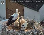 Capi_Dubne_20250620_201004.jpg