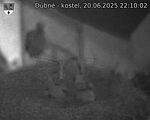 Capi_Dubne_20250620_221002.jpg