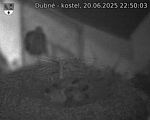 Capi_Dubne_20250620_225003.jpg