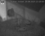 Capi_Dubne_20250620_232003.jpg