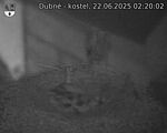 Capi_Dubne_20250622_022002.jpg