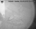 Capi_Dubne_20250623_002002.jpg