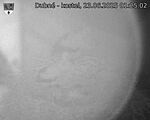 Capi_Dubne_20250623_012502.jpg