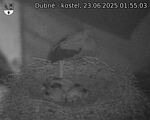 Capi_Dubne_20250623_015503.jpg