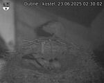 Capi_Dubne_20250623_023002.jpg