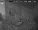Capi_Dubne_20250623_031503.jpg