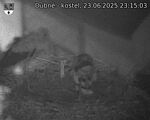 Capi_Dubne_20250623_231503.jpg