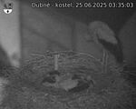 Capi_Dubne_20250625_033503.jpg