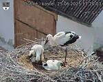 Capi_Dubne_20250625_172003.jpg