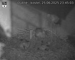 Capi_Dubne_20250625_234503.jpg