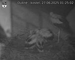 Capi_Dubne_20250627_012502.jpg
