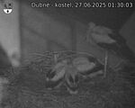 Capi_Dubne_20250627_013003.jpg