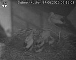 Capi_Dubne_20250627_021503.jpg