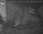 Capi_Dubne_20250627_023003.jpg