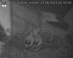 Capi_Dubne_20250627_025502.jpg