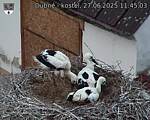 Capi_Dubne_20250627_114503.jpg