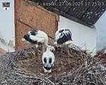 Capi_Dubne_20250627_172503.jpg
