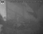 Capi_Dubne_20250628_002002.jpg