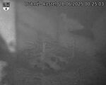 Capi_Dubne_20250628_002503.jpg