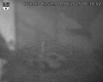Capi_Dubne_20250628_003002.jpg