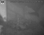 Capi_Dubne_20250628_004002.jpg